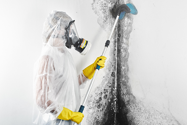 sinistre-maison-contaminee-decontamination-expert.